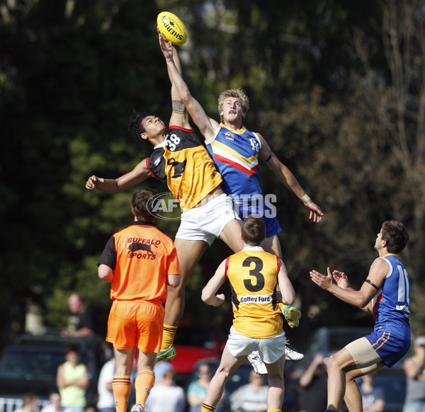 TAC Cup 2013 Rd 03 - Eastern Ranges v Dandenong - 281302