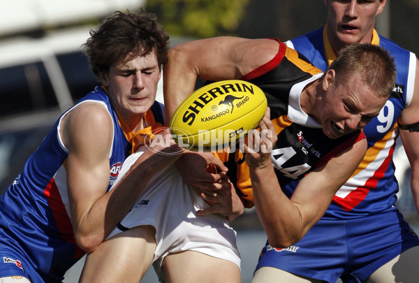 TAC Cup 2013 Rd 03 - Eastern Ranges v Dandenong - 281347