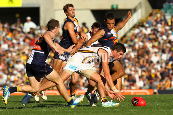 AFL 2013 Rd 02 - West Coast v Hawthorn - 281801