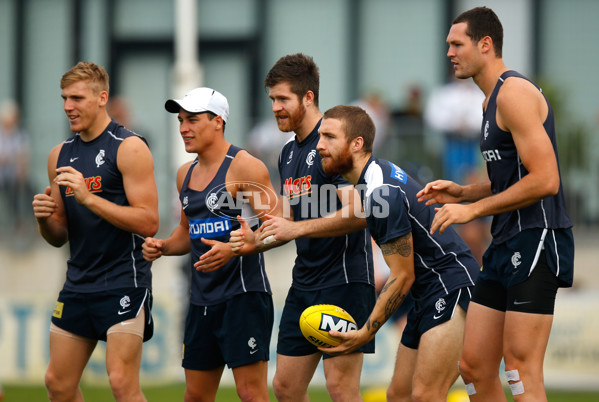 AFL 2013 Training - Carlton 090413 - 281821