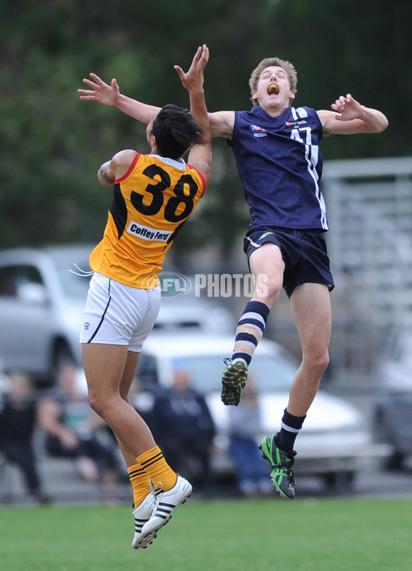 TAC Cup 2013 Country Round 1 - Geelong Falcons v Dandenong Stingrays - 282535