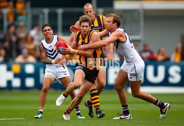 AFL 2013 Rd 04 - Hawthorn v Fremantle - 283231