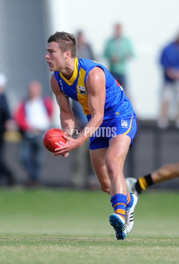 VFL 2013 Rd 03 - Williamstown Seagulls v Werribee Tigers - 283780