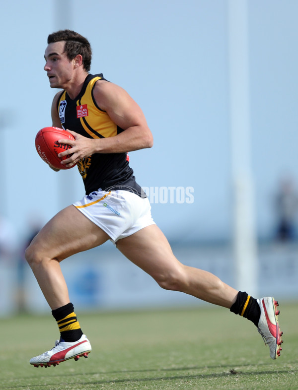 VFL 2013 Rd 03 - Williamstown Seagulls v Werribee Tigers - 283782