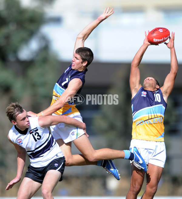 TAC Cup 2013 Rd 05 - Northern Knights v Bendigo Pioneers - 284747