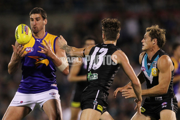 AFL 2013 Rd 05 - Port Adelaide v West Coast - 284878