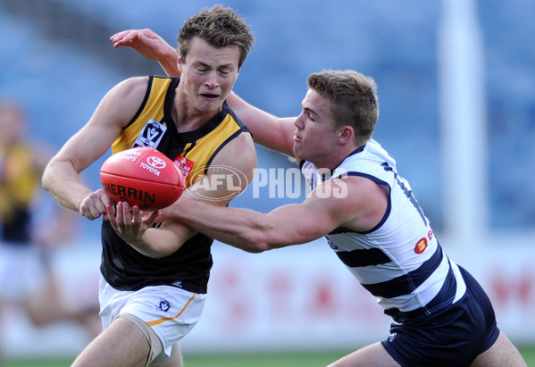 VFL 2013 Rd 05 - Geelong Cats v Werribee Tigers - 285459