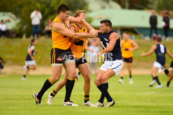 VFL 2013 State Match - VFL v WAFL - 286437