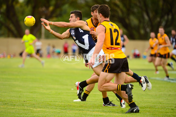 VFL 2013 State Match - VFL v WAFL - 286441