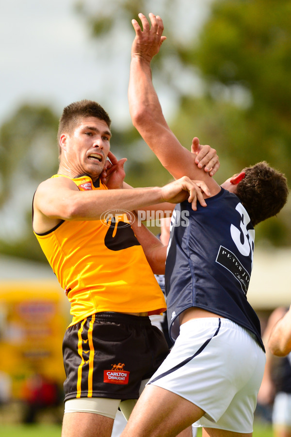 VFL 2013 State Match - VFL v WAFL - 286459