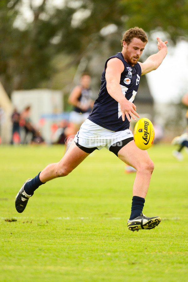 VFL 2013 State Match - VFL v WAFL - 286432