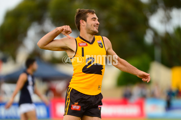 VFL 2013 State Match - VFL v WAFL - 286435