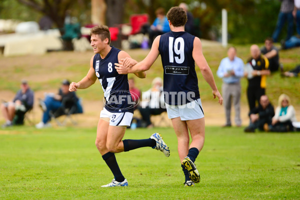 VFL 2013 State Match - VFL v WAFL - 286443