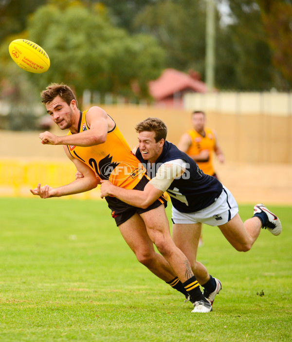 VFL 2013 State Match - VFL v WAFL - 286460