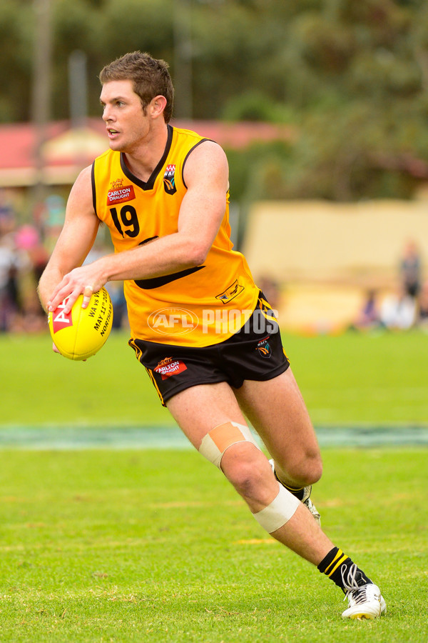 VFL 2013 State Match - VFL v WAFL - 286545