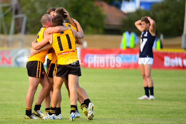 VFL 2013 State Match - VFL v WAFL - 286561