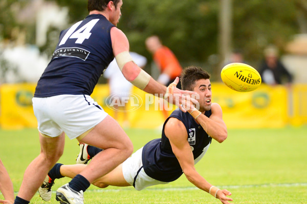 VFL 2013 State Match - VFL v WAFL - 286500