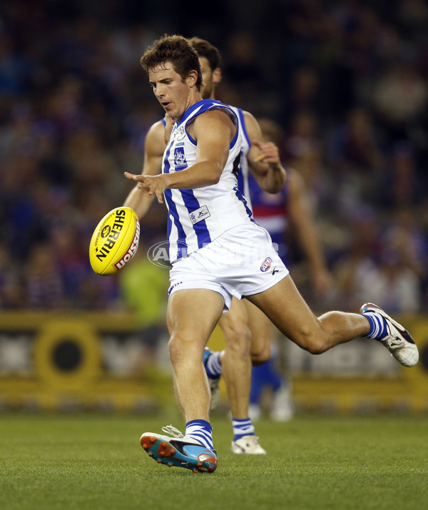 AFL 2013 Rd 07 - Western Bulldogs v North Melbourne - 286513