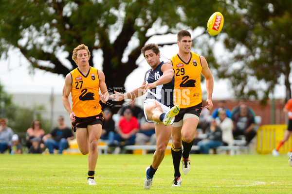 VFL 2013 State Match - VFL v WAFL - 286527