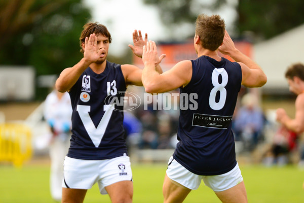 VFL 2013 State Match - VFL v WAFL - 286526