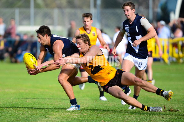 VFL 2013 State Match - VFL v WAFL - 286537