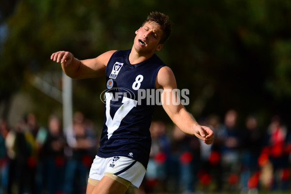 VFL 2013 State Match - VFL v WAFL - 286553