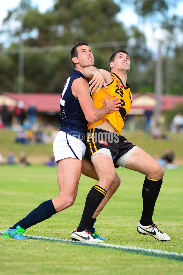 VFL 2013 State Match - VFL v WAFL - 286555