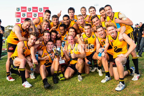 VFL 2013 State Match - VFL v WAFL - 286582