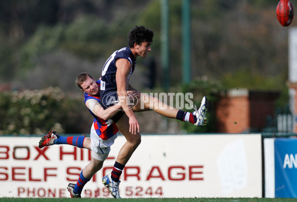 TAC Cup 2013 Rd 07 - Sandringham Dragons v Oakleigh Chargers - 287473