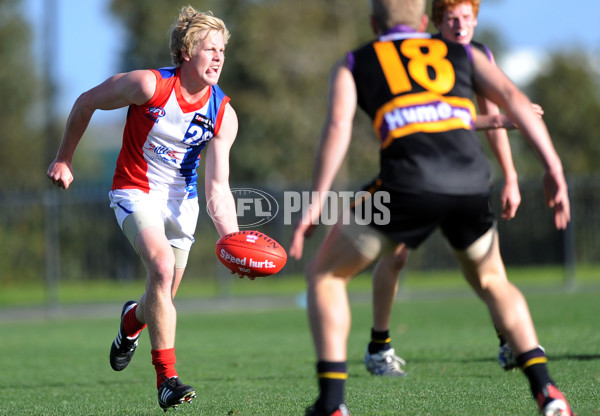 TAC 2013 Rd 04 - Murray Bushrangers v Gippsland Power - 288325