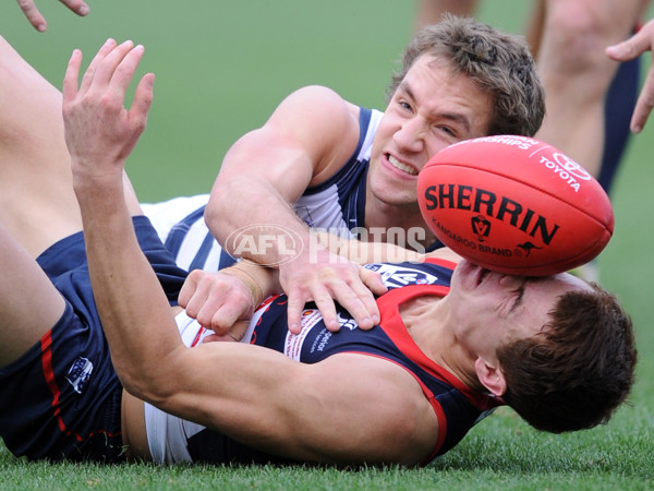 VFL 2103 Rd 07 - Geelong v Casey Scorpions - 288849