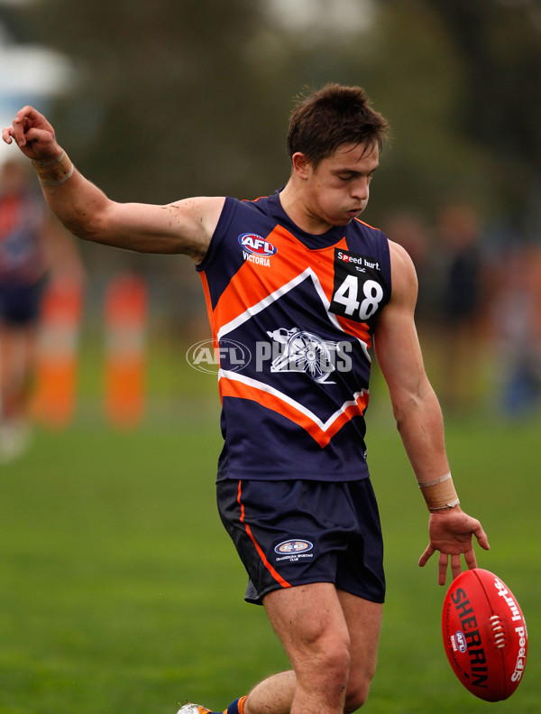 TAC 2013 Rd 8 - Calder Cannons v Dandenong Stingrays - 289227