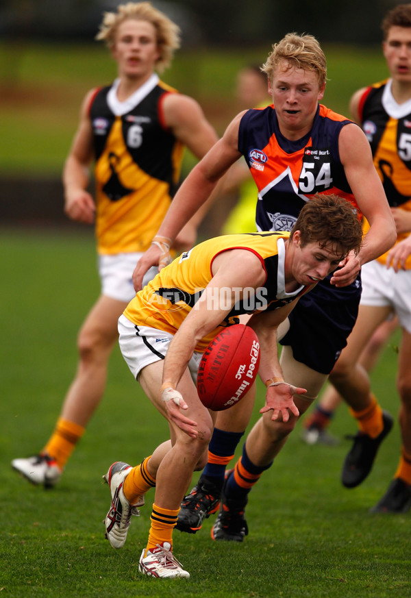 TAC 2013 Rd 8 - Calder Cannons v Dandenong Stingrays - 289240