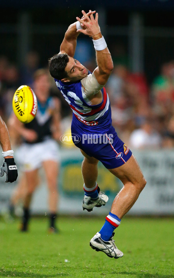 AFL 2013 Rd 10 - Western Bulldogs v Port Adelaide - 289484