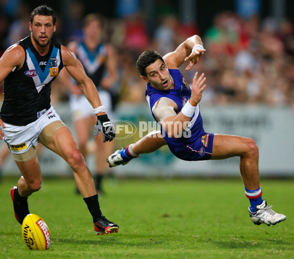 AFL 2013 Rd 10 - Western Bulldogs v Port Adelaide - 289485