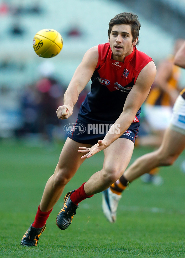 AFL 2013 Rd 10 - Melbourne v Hawthorn - 289651