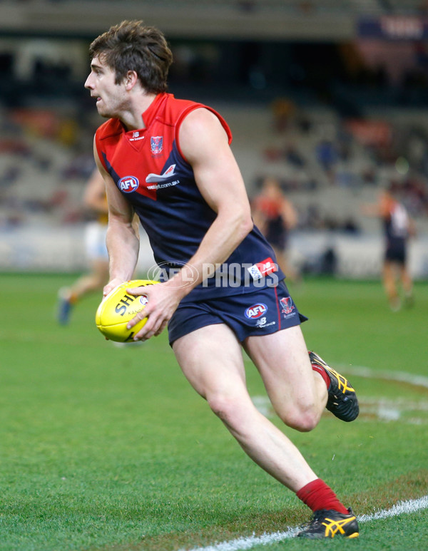 AFL 2013 Rd 10 - Melbourne v Hawthorn - 289724