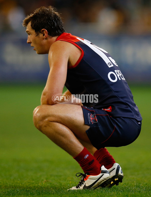 AFL 2013 Rd 10 - Melbourne v Hawthorn - 289728