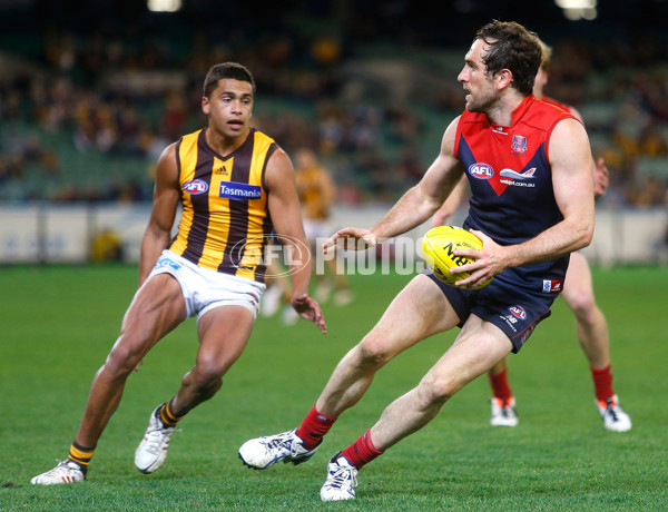 AFL 2013 Rd 10 - Melbourne v Hawthorn - 289723