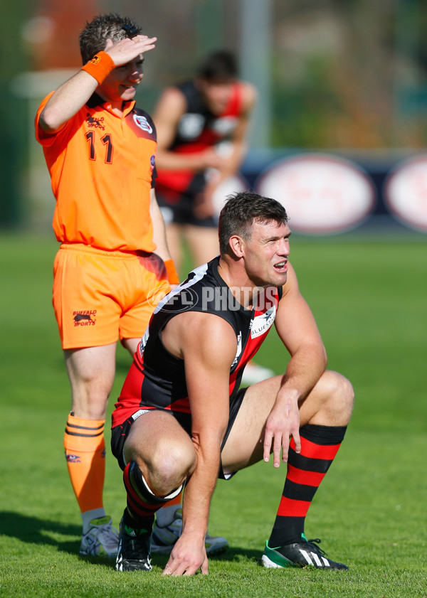 VFL 2013 Rd 09 - Essendon v Sandringham - 290250