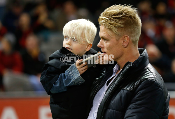 AFL 2013 Rd 12 - Essendon v Gold Coast - 291065