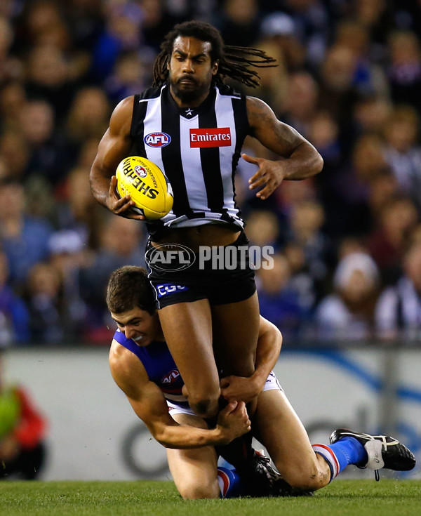 AFL 2013 Rd 12 - Collingwood v Western Bulldogs - 291164