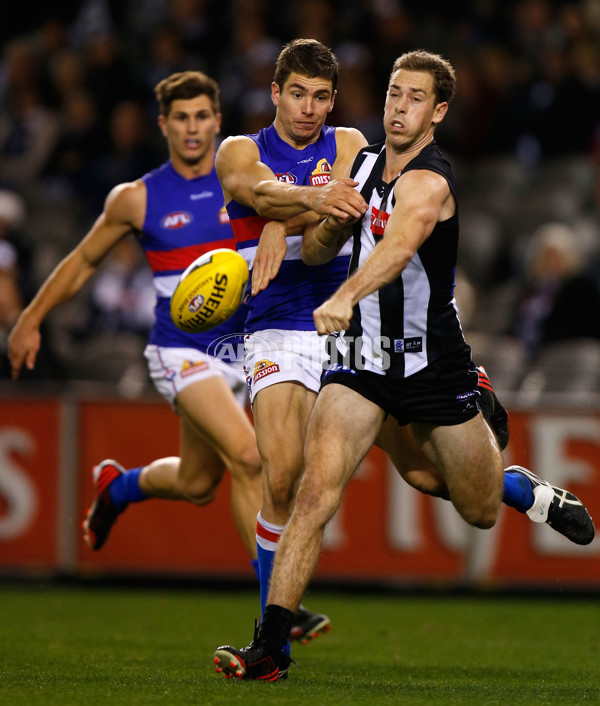 AFL 2013 Rd 12 - Collingwood v Western Bulldogs - 291243