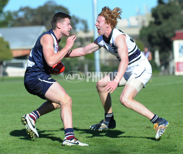 TAC Cup 2013 Round 10 - Sandringham Dragons v Northern Knights - 291539