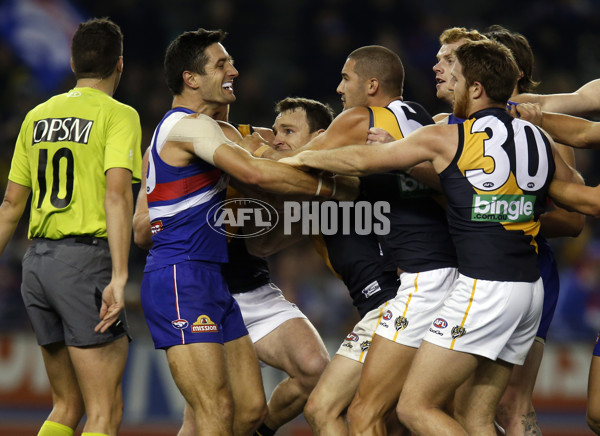 AFL 2013 Rd 13 - Western Bulldogs v Richmond - 291705