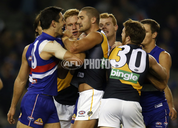 AFL 2013 Rd 13 - Western Bulldogs v Richmond - 291703