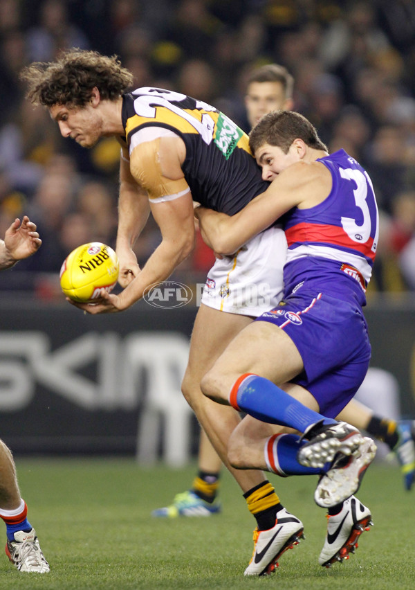 AFL 2013 Rd 13 - Western Bulldogs v Richmond - 291756