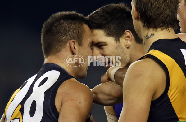 AFL 2013 Rd 13 - Western Bulldogs v Richmond - 291718