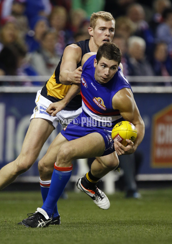 AFL 2013 Rd 13 - Western Bulldogs v Richmond - 291744