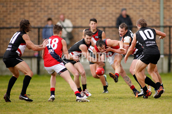 VFL 2013 Round 13 - Frankston v Coburg - 293895